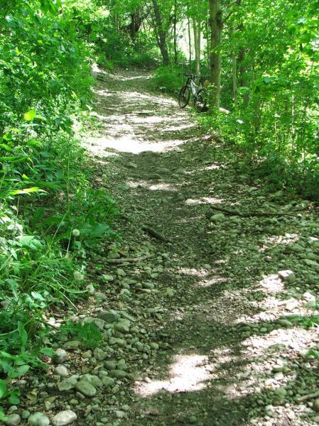 A narrow, rocky path meanders through a dense green forest, with sunlight filtering through the trees. A bicycle is parked beside the trail, surrounded by lush foliage and pebbles. Fanshawe Lake mountain bike trail.