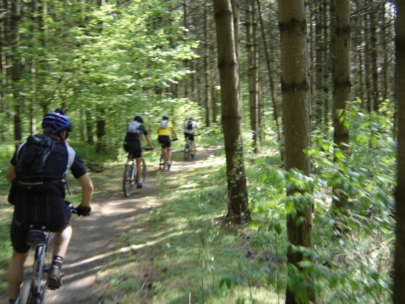 A group of mountain bikers riding along a dirt path in a dense forest, surrounded by green trees and foliage, enjoying an outdoor adventure. Fanshawe Lake mountain bike trail.