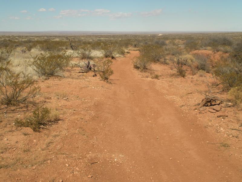 A dirt path winding through sparse desert vegetation, with reddish soil and scattered shrubs under a clear blue sky. The landscape stretches out to the horizon, showcasing a vast, open expanse. Haystack Mountain mountain bike trail.