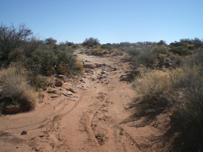 A dirt trail winding through a rugged desert landscape, flanked by sparse vegetation and rocky outcrops under a clear blue sky. The ground shows tire tracks, indicating passage, while tufts of dry grass and low bushes can be seen along the sides. Haystack Mountain mountain bike trail.