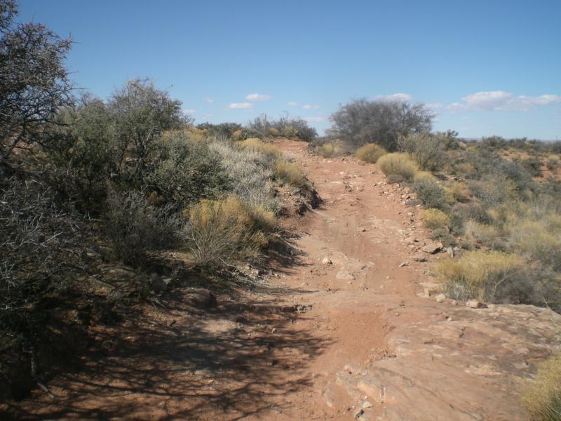 A dry dirt path winding through a desert landscape, surrounded by sparse vegetation and small bushes under a clear blue sky. The terrain is rocky, with scattered stones along the trail, leading into the distance. Haystack Mountain mountain bike trail.