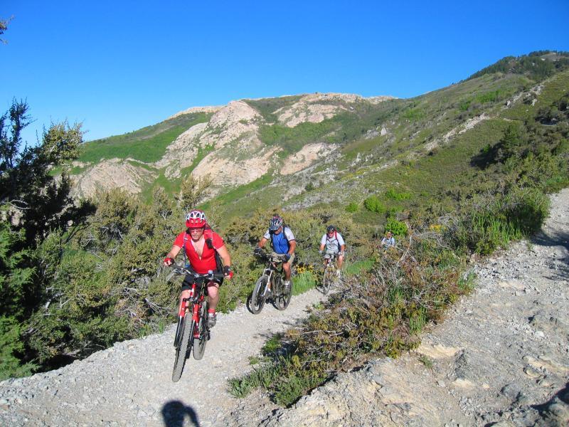 A group of four mountain bikers riding along a gravel trail in a hilly, green landscape under a clear blue sky. The first rider, dressed in a red shirt and helmet, is smiling as they navigate the path, while the others follow closely behind. The scene captures the essence of outdoor adventure and fitness in nature. Northern Skyline mountain bike trail.