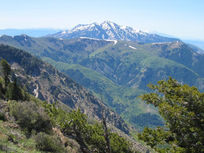A panoramic view of a mountain range featuring snow-capped peaks and lush green valleys on a clear day. The foreground shows rocky outcroppings and greenery, with distant mountains visible under a bright blue sky. Northern Skyline mountain bike trail.