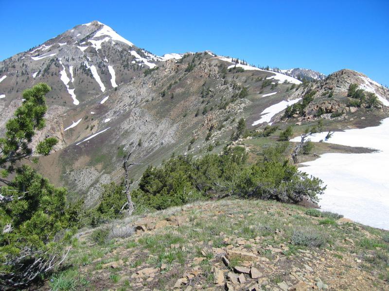 A scenic view of a mountainous landscape featuring snow-capped peaks and rugged terrain under a clear blue sky. In the foreground, green shrubs and grasses line the rocky surface, while distant mountains display patches of snow and a mix of evergreen trees. Northern Skyline mountain bike trail.