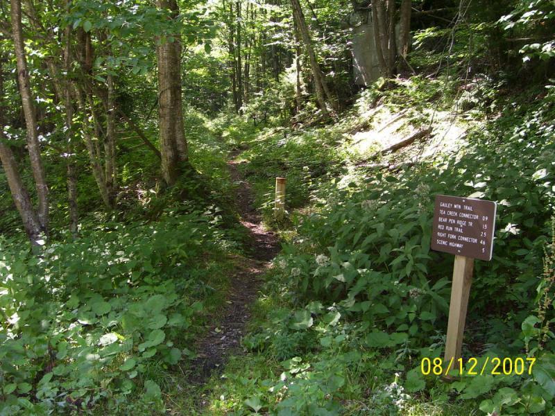 A narrow hiking trail winding through a lush green forest, with vibrant foliage on either side. On the right, there is a trail sign providing distances to various destinations, including "Sally Mtn Trail" and "Tea Creek Connector." The setting is bright and inviting, suggesting a serene outdoor experience. Bear Pen (modified) Loop mountain bike trail.