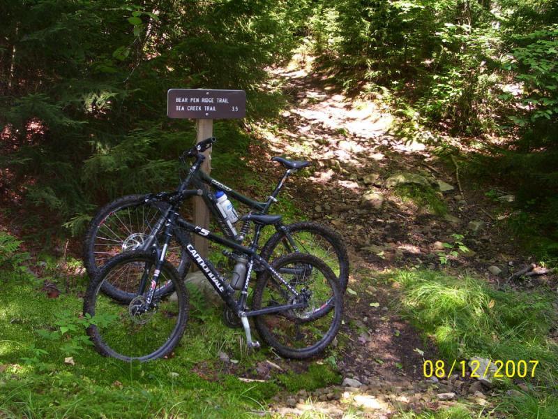 Two mountain bikes parked beside a trail sign indicating the Bear Pen Ridge Trail and Tea Creek Trail, surrounded by lush greenery and a rocky path leading into the woods. Bear Pen (modified) Loop mountain bike trail.