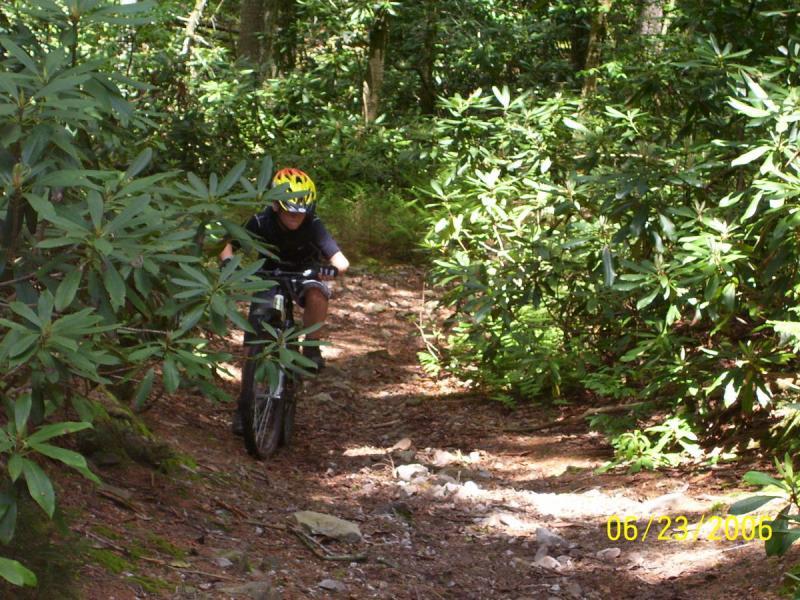 A young person riding a mountain bike on a rocky trail surrounded by dense green foliage. The rider is wearing a helmet and focused on navigating the uneven terrain. Bear Pen (modified) Loop mountain bike trail.
