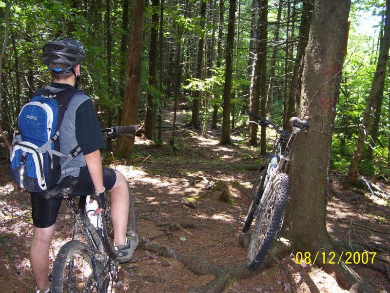 A person in a helmet and black clothing sits on a mountain bike, looking down a forested trail. The scene is surrounded by tall trees and lush greenery, creating a natural outdoor setting. Another mountain bike leans against a tree nearby. The ground is covered with pine needles and branches. Bear Pen (modified) Loop mountain bike trail.