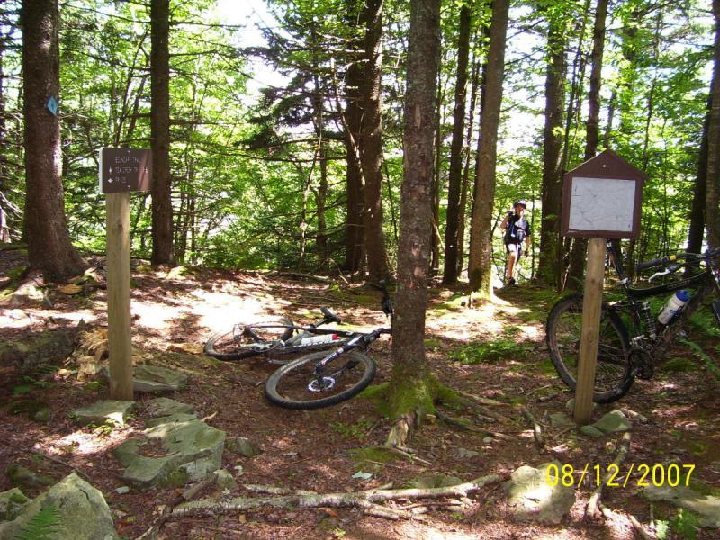 A wooded trail with two mountain bikes resting on the ground, surrounded by tall trees. One bike lies on its side near a trail sign indicating directions, while the other is propped upright against a tree. A person dressed in cycling gear is visible in the background, walking on the trail. The scene is bright and sunny, showcasing a lush green environment. Bear Pen (modified) Loop mountain bike trail.