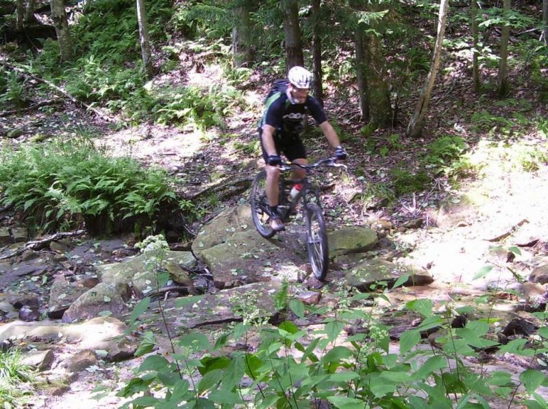 A person riding a mountain bike over rocky terrain in a wooded area, surrounded by green foliage and sunlit patches on the ground. Bear Pen (modified) Loop mountain bike trail.