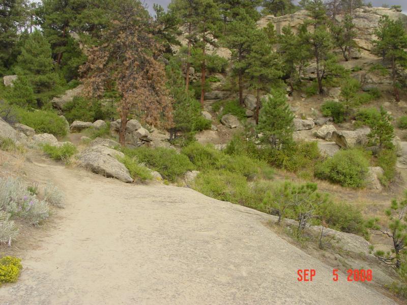 A natural landscape featuring a winding dirt path leading through rocky terrain, surrounded by green vegetation and tall trees. The scene captures a serene moment in the outdoors, with a mix of rocks and shrubs visible along the path. Zimmerman Trail mountain bike trail.