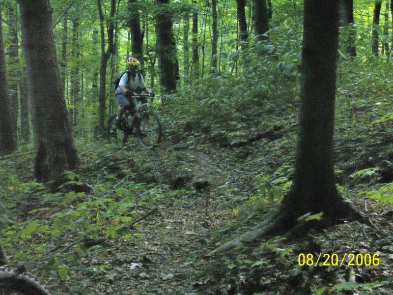 A mountain biker navigates a narrow trail through a dense forest of green trees and foliage. The cyclist wears a helmet and is positioned on the path surrounded by lush vegetation. The image has a timestamp in the bottom right corner reading "08/20/2006." Scenic River Trail mountain bike trail.