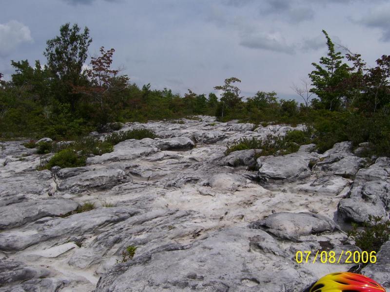 A rocky, uneven landscape featuring light-colored limestone formations, with patches of greenery and scattered trees under a cloudy sky. The scene captures the rugged terrain and natural beauty of the area. CVI Trails mountain bike trail.