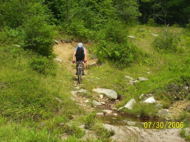 A cyclist navigating a rocky trail in a lush green forest, surrounded by grass and small streams, on a sunny day. CVI Trails mountain bike trail.