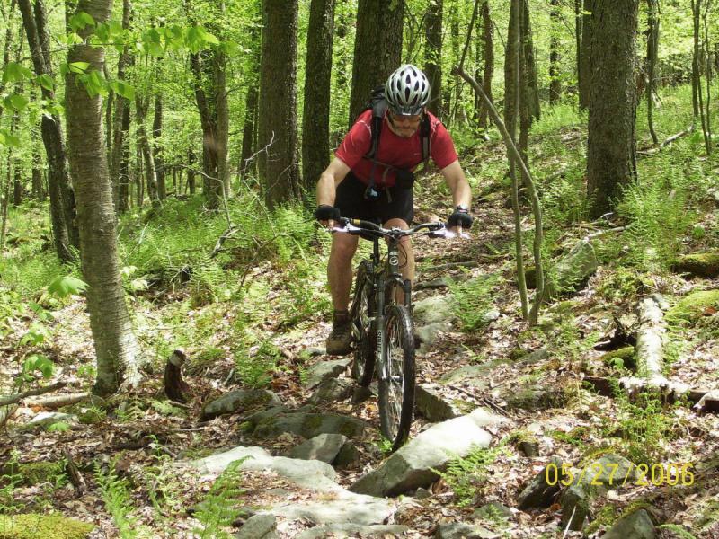A mountain biker navigating a rocky trail in a lush green wooded area, wearing a helmet and a red shirt, with trees and ferns surrounding the path. CVI Trails mountain bike trail.