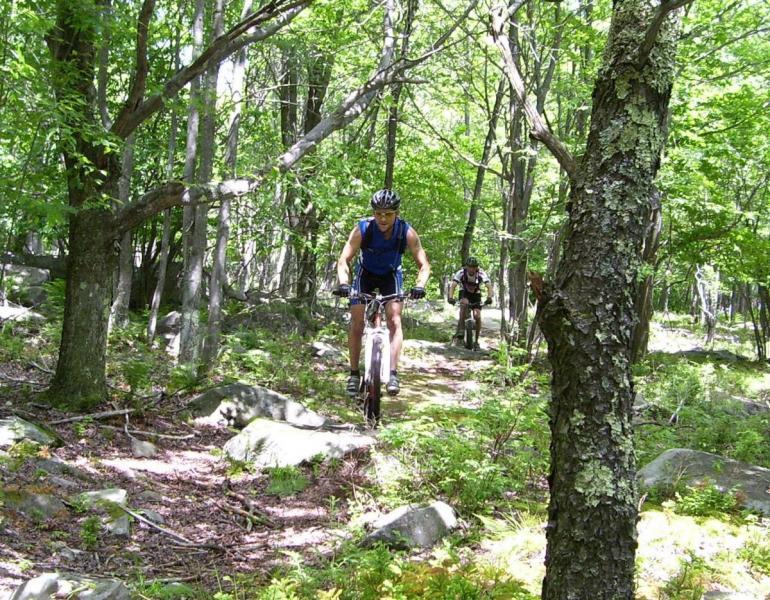 Two mountain bikers ride along a rocky trail in a wooded area lush with green foliage. The path winds through trees, and sunlight filters through the leaves, creating a vibrant outdoor scene. One biker is in the foreground, wearing a blue tank top and a helmet, while the other is positioned slightly behind, making their way along the trail. CVI Trails mountain bike trail.