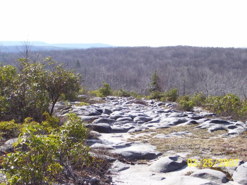 A rocky path leads through sparse vegetation toward a vast view of a mountainous landscape, under a clear sky. The foreground features smooth stones and small bushes, while the background showcases a distant range of hills covered in trees, indicating early spring with leafless branches. The date "03/25/2007" is visible in the corner. CVI Trails mountain bike trail.