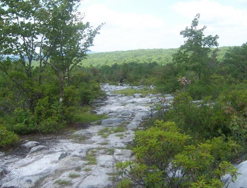 A rocky pathway surrounded by lush greenery and trees, leading through a mountainous landscape under a partly cloudy sky. CVI Trails mountain bike trail.