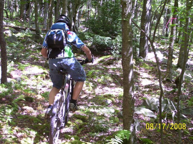 A person riding a mountain bike through a forested trail, surrounded by trees and lush green foliage, with sunlight filtering through the leaves. The rider is wearing a helmet and a colorful shirt, with a backpack visible. The path is rocky and lined with ferns. CVI Trails mountain bike trail.
