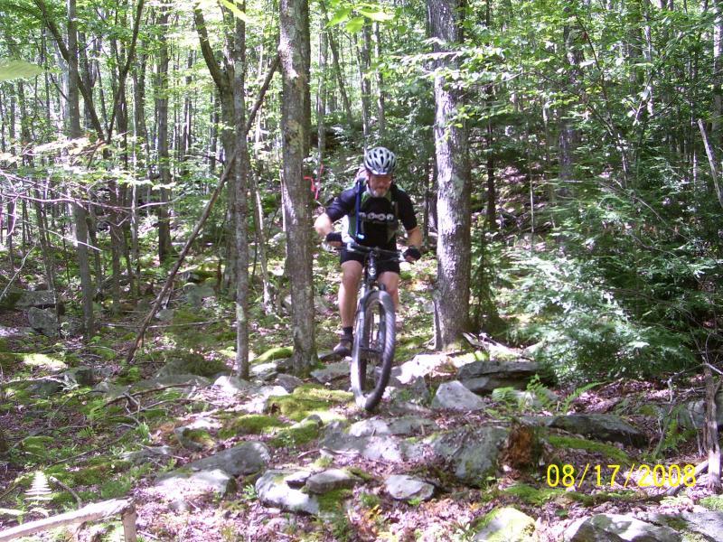A mountain biker navigating a rocky trail through a dense forest, surrounded by trees and greenery. The rider is wearing a helmet and is focused on maneuvering over the uneven terrain, with patches of moss and rocks visible on the ground. CVI Trails mountain bike trail.