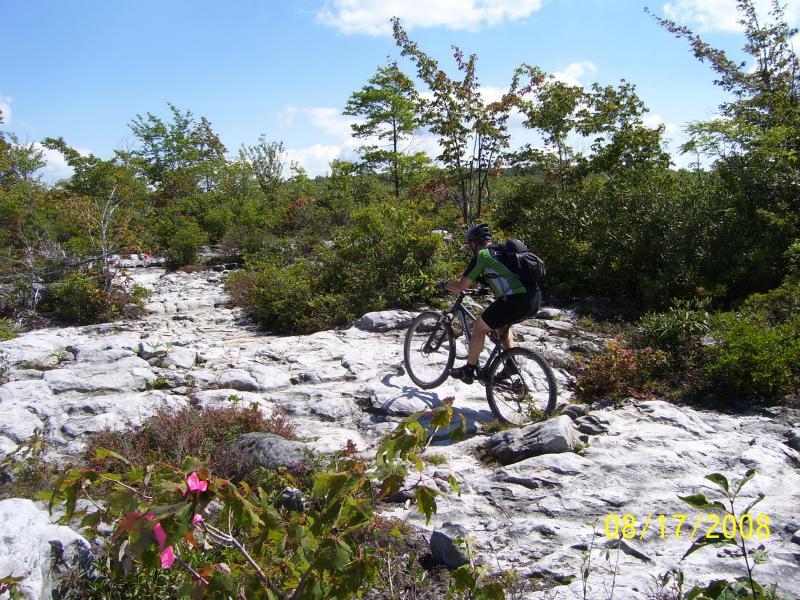 A mountain biker navigating rocky terrain surrounded by greenery under a clear blue sky. CVI Trails mountain bike trail.