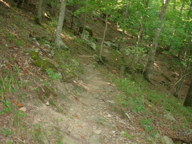 A narrow, winding trail surrounded by lush green trees and rocks in a forested area. The ground is uneven with patches of grass and leaves scattered along the path, indicating a natural and earthy environment. Beech Fork State Park mountain bike trail.