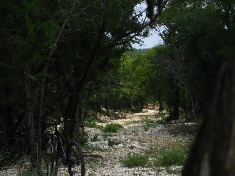 A narrow dirt path winding through a lush green forest, lined with trees on either side. A mountain bike is positioned on the left side of the image, partially in view, with a rocky, uneven terrain leading into the distance. The scene is peaceful, suggesting a serene outdoor environment suitable for biking and exploring nature. Salado Creek mountain bike trail.
