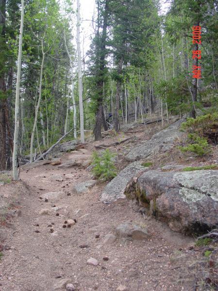 A winding dirt trail leads through a dense forest of tall green trees, with rocky terrain and scattered pinecones along the path. In the background, the trail slopes upward, indicating a gradual incline through the natural landscape. Brookside-McCurdy South Side mountain bike trail.