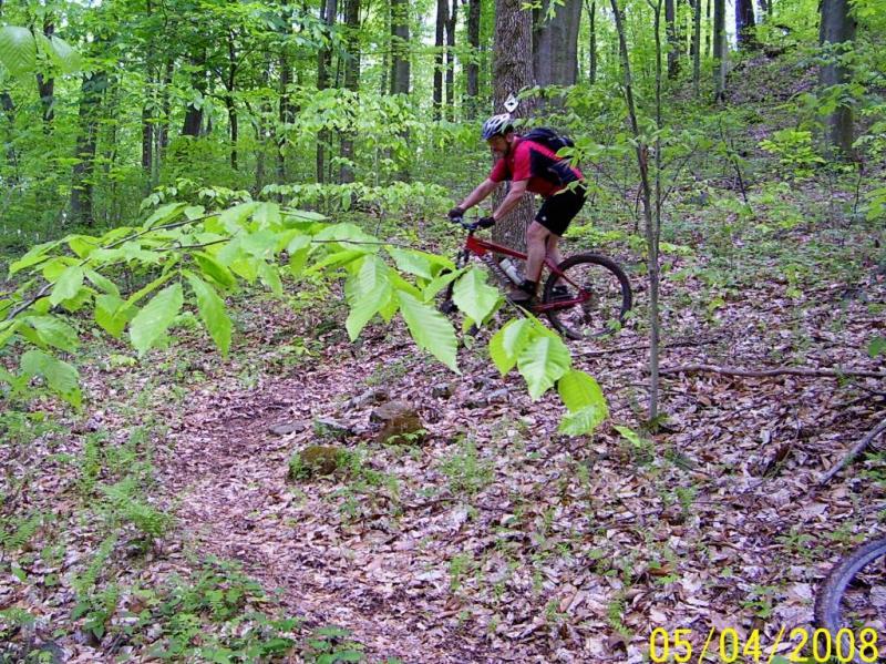 A mountain biker navigates a narrow, leaf-covered trail through a lush, green forest. The rider, wearing a helmet and a red shirt, leans forward on a red bicycle as they make their way past trees and foliage. Sunlight filters through the leaves, creating a vibrant, natural setting. Ohio View Trail mountain bike trail.