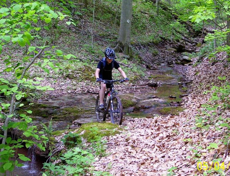 A young person riding a mountain bike across a rocky stream in a wooded area, surrounded by green foliage and fallen leaves. Ohio View Trail mountain bike trail.