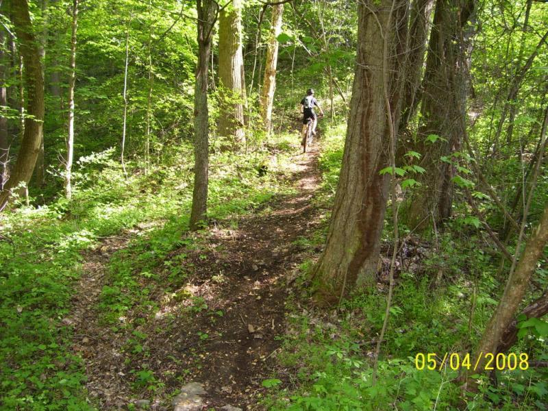 A dirt path winding through a lush green forest, with a person in the distance riding a bicycle. Sunlight filters through the trees, illuminating the foliage and creating a tranquil outdoor scene. Ohio View Trail mountain bike trail.