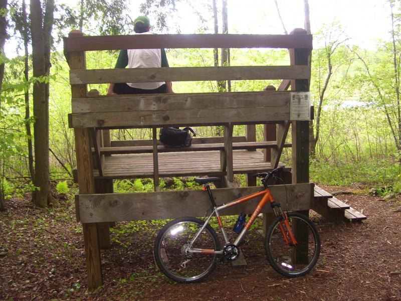 A wooden observation platform in a forested area, with a person sitting on top and a bicycle parked beside it. Green foliage surrounds the platform, creating a natural setting. Mud Pond Loop mountain bike trail.