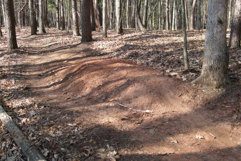 A dirt bike trail winding through a forest, featuring a series of small dirt mounds beside the path. The ground is covered with fallen leaves, and there are tall trees in the background, creating a natural woodland setting. Dark Hollow mountain bike trail.