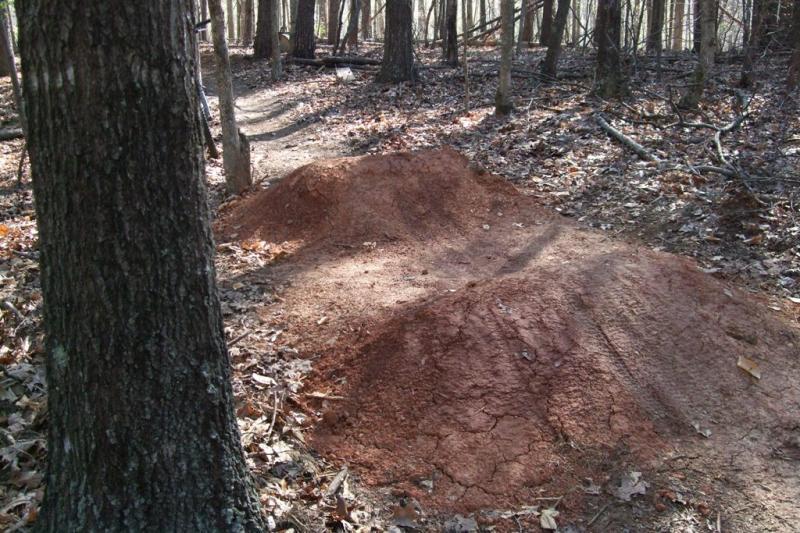 A dirt jump or mound located on a wooded trail, surrounded by trees and fallen leaves, with a clear path visible in the background. Dark Hollow mountain bike trail.