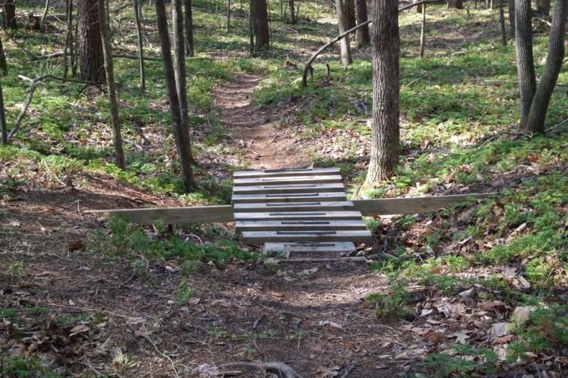 A wooden bridge made of slats crosses a small path in a forested area, surrounded by trees and green underbrush. The scene is peaceful, with dappled sunlight filtering through the leaves. Dark Hollow mountain bike trail.