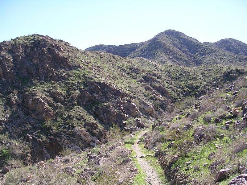 A rocky landscape featuring a winding dirt path surrounded by hills and rocky outcrops. The scene is bathed in natural sunlight, highlighting the green vegetation scattered among the rocks and slopes. The sky is clear with minimal clouds, emphasizing a tranquil outdoor setting. The Goat Trails mountain bike trail.