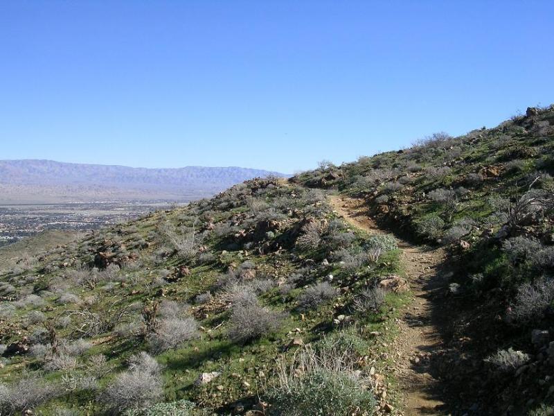 A winding dirt trail traverses a sloped hillside covered in sparse vegetation, with rocky outcrops and a clear blue sky overhead. In the distance, a valley and mountains are visible. The Goat Trails mountain bike trail.