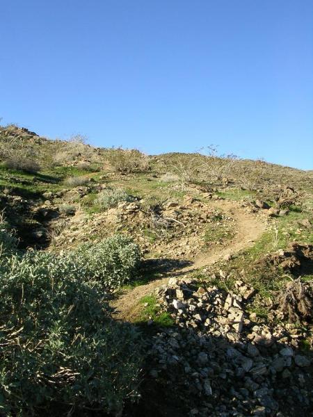 A rocky hillside with sparse vegetation under a clear blue sky, featuring a winding dirt path that leads toward a higher elevation. The landscape includes patches of grass and small shrubs amid scattered rocks. The Goat Trails mountain bike trail.