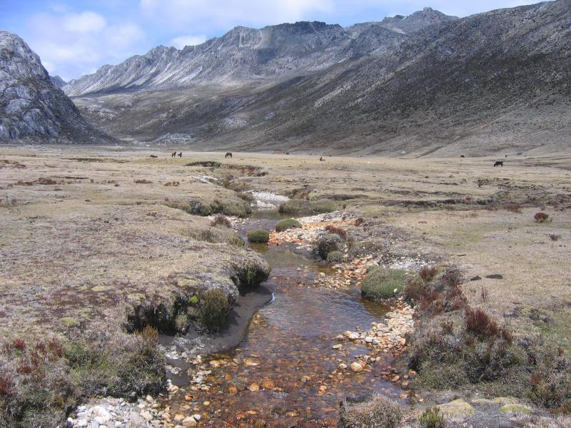 A scenic view of a mountainous landscape with rolling hills, a small stream flowing through the foreground, and patches of grass and bushes. In the background, majestic snow-capped mountains rise under a partly cloudy sky, while a few horses are grazing in the distant meadow. Valle De MifafÃ­ mountain bike trail.
