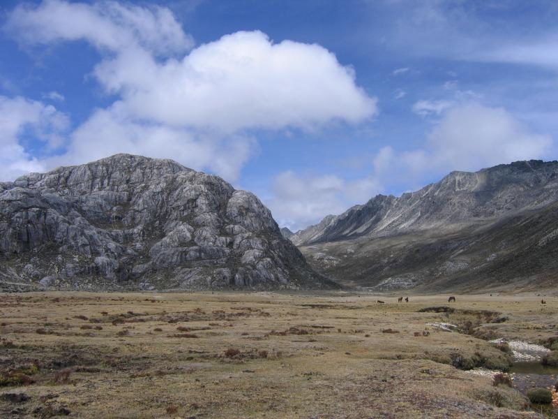 A panoramic view of a mountainous landscape featuring rugged rock formations, grassy plains, and a blue sky with scattered clouds. In the distance, several horses can be seen grazing in the open field, with steep mountain slopes rising on either side, creating a serene natural setting. Valle De MifafÃ­ mountain bike trail.