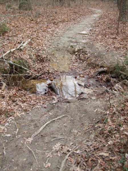 A narrow dirt trail lined with fallen leaves, leading towards a small water stream visible in the foreground. The stream has some exposed rocks, and tree roots can be seen along the edges. The scene is set in a forested area with sparse vegetation in the background. Clinton Nature Preserve mountain bike trail.