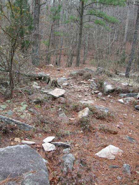 A rocky trail winding through a wooded area, with scattered stones and patches of pine needles, surrounded by trees that have sparse foliage. The scene appears to be in a natural, rugged environment, suggesting a hiking path. Clinton Nature Preserve mountain bike trail.