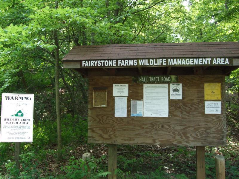 A wooden information board situated in a lush green forest setting, displaying signage for "Fairystone Farms Wildlife Management Area." The board includes various notices and regulations, with a smaller sign next to it warning about "Wildlife Crime Watch Area." The area features an abundant backdrop of trees and vegetation. Hall Track Trail mountain bike trail.