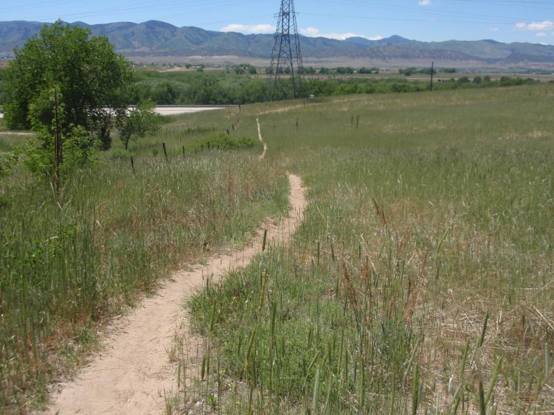 A winding dirt path through a grassy field, leading towards distant mountains under a clear blue sky. Power lines are visible in the background, and a road is seen in the foreground with sparse vegetation surrounding it. Plum Creek Park mountain bike trail.