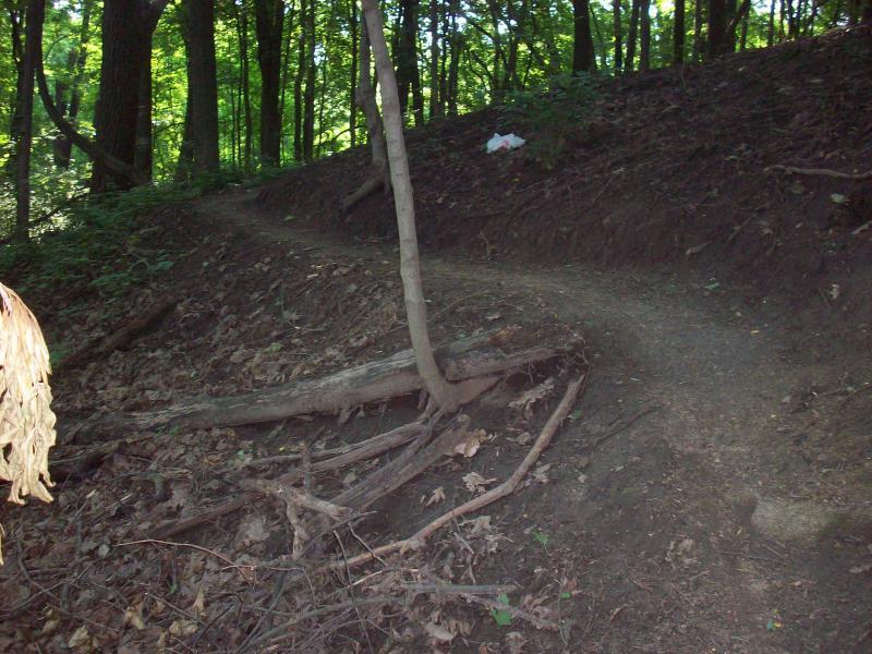 A winding trail through a wooded area, surrounded by tall trees and lush greenery. The path is narrow and is flanked by exposed roots and a few scattered leaves on the ground. A fragment of white material is visible in the background. Murdock Park Trail mountain bike trail.