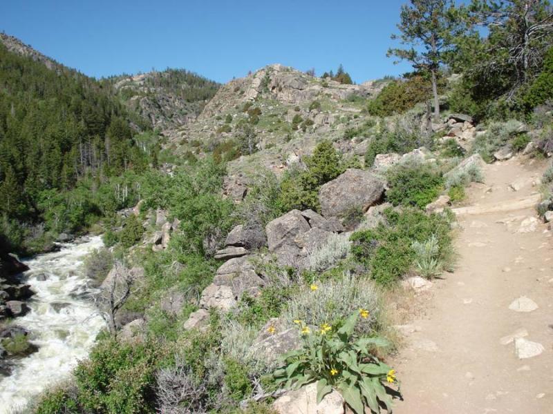 A scenic landscape featuring a winding dirt path along a rushing river, surrounded by rocky terrain and lush greenery. The background showcases a mountainous area with pine trees, under a clear blue sky. Wildflowers bloom near the path, adding color to the natural setting. Middle Fork Popo Agie River mountain bike trail.