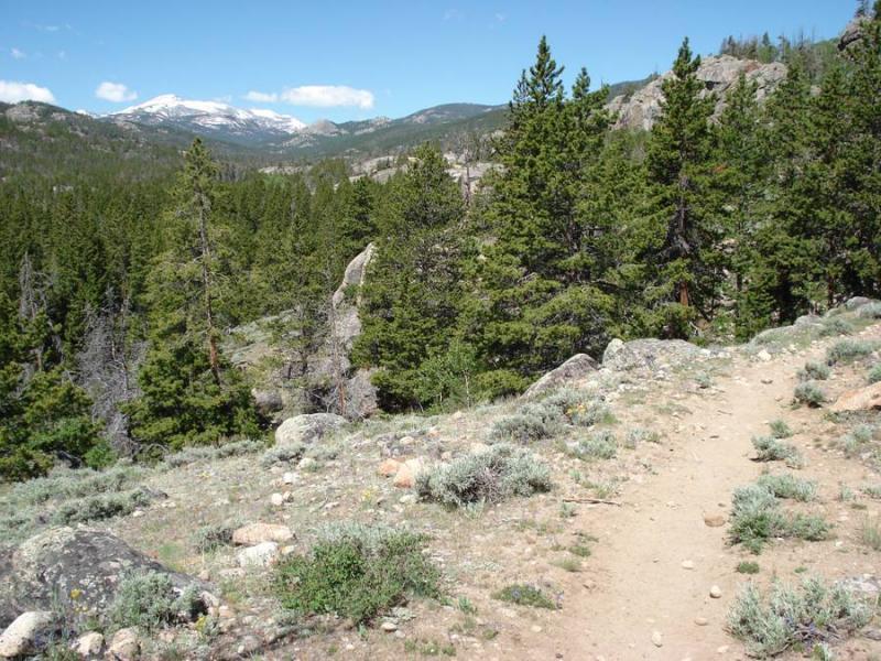 A scenic view of a mountainous landscape, featuring a narrow dirt path winding through a rocky, grassy area. Surrounding the path, there are clusters of tall pine trees and shrubs, with distant snow-capped mountains visible under a bright blue sky with scattered clouds. Middle Fork Popo Agie River mountain bike trail.