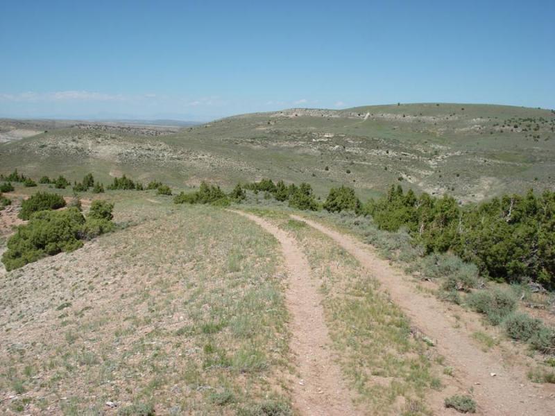 A dirt path winding through a hilly landscape, surrounded by sparse greenery under a clear blue sky. The scene showcases rolling hills and some low shrubs, typical of arid or semi-arid terrain. The Bus mountain bike trail.