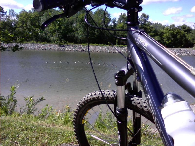 A mountain bike leaning on grassy terrain with a river in the background. The water reflects the blue sky and is dotted with waterfowl. Lush greenery surrounds the scene, creating a tranquil outdoor setting. Canal Trail mountain bike trail.