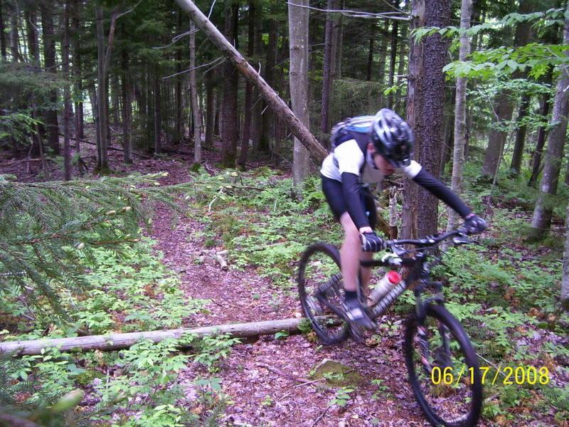A person riding a mountain bike along a narrow forest trail, navigating over a fallen log surrounded by lush greenery and tall trees. The cyclist is wearing a helmet and athletic attire, indicating a focus on outdoor sports. Red Run Trail mountain bike trail.